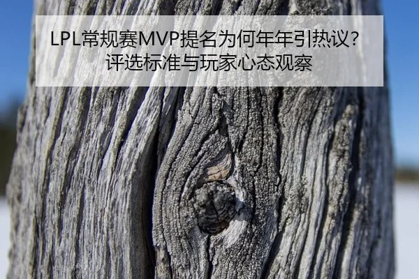 chang-gui-sai-ti-ming-wei-he-nian-nian-yin-re-yi-ping-xuan-biao-zhun-yu-wan-jia-xin-tai-guan-cha-2-823.jpg